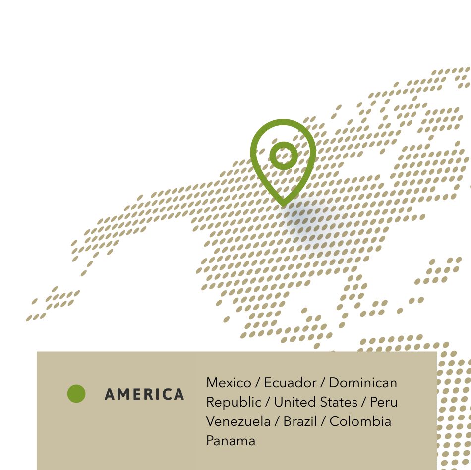 Atacama Dried Fruit markets across the Americas